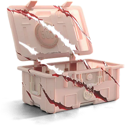 Injured Inquiry case on CSGO500